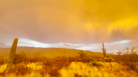 tormenta monzónica al atardecer en el desierto de arizona con arco iris completo