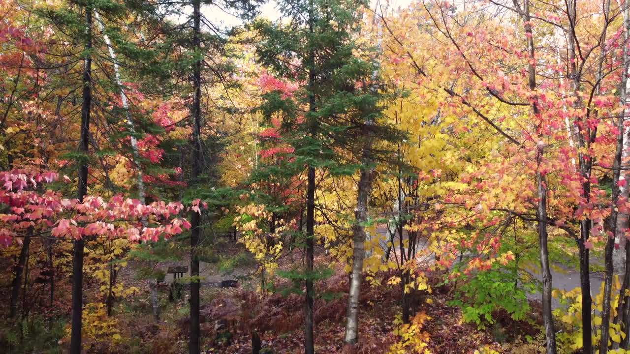Tent camping during autumn | Aerial