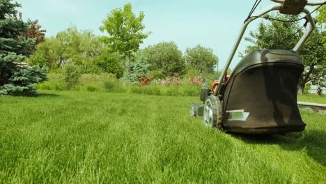 lawn mower cutting the grass. gardening activity. cutting grass with petrol driven lawn mower in sunny garden. gardener working with mower machine in the garden. lawn mower cutting green grass