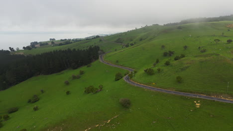 a road on the plateau between green fields, aerial view