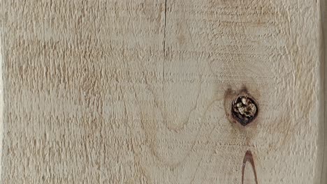 wood texture or wood background