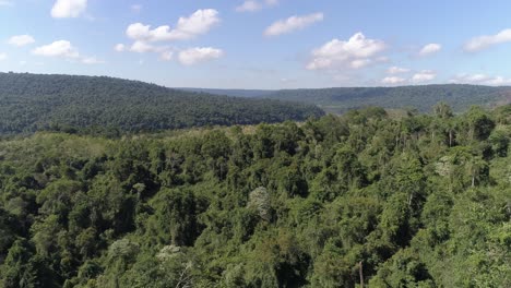 Vista-Aérea-De-Una-Selva-Tropical