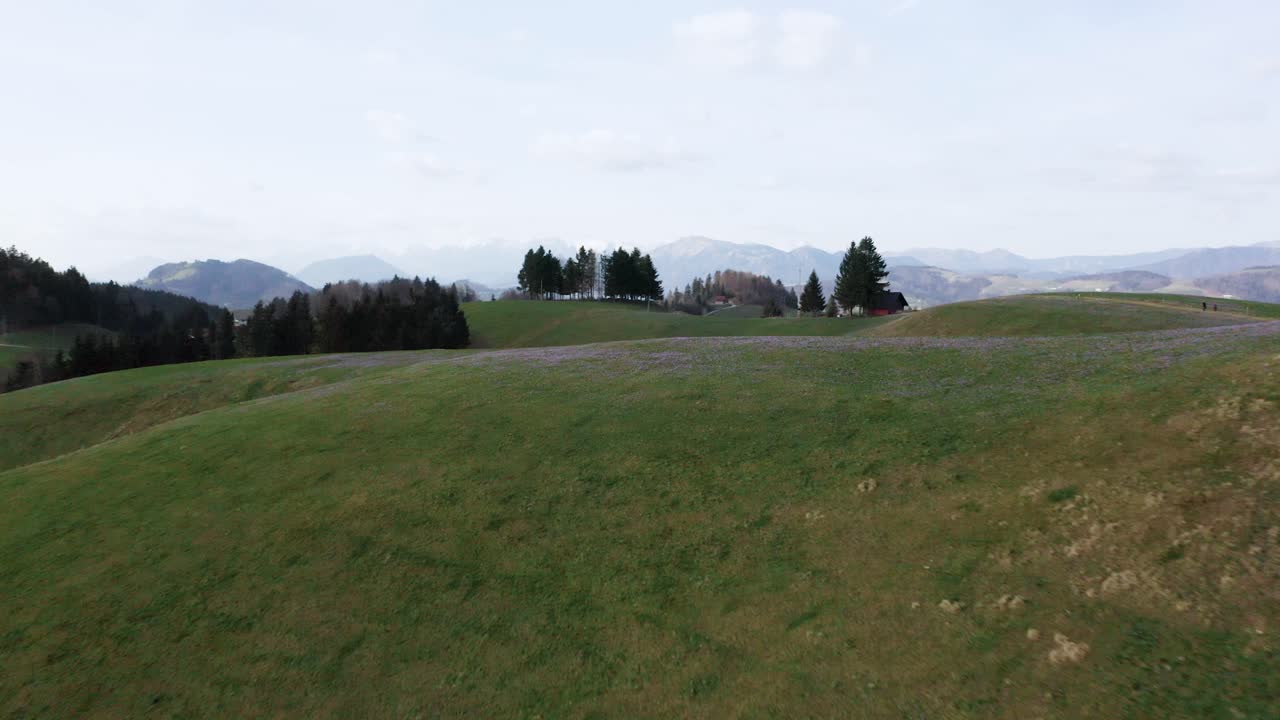 평온의 본질을 포착하는 이 풍경은 크로쿠스로 가득 찬 푸른 언덕과 멀리 떨어진 알프스 산꼭대기의 웅장함과 함께 조용한 하늘 아래 mrzli vrch에 있습니다.