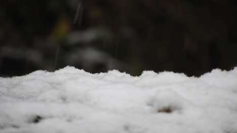 nevando en el suelo, primer plano, temporada de invierno