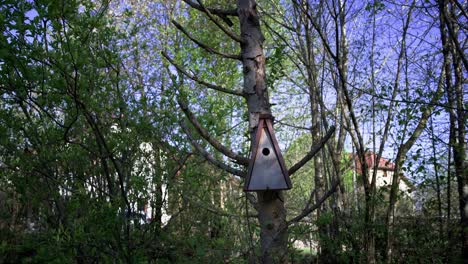 Handgefertigter-Nistkasten-Für-Den-Vogelschutz