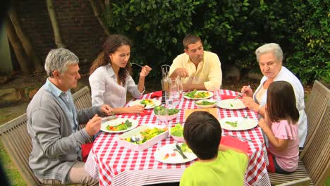 Almuerzo-Familiar-Con-Los-Abuelos-En-El-Jardín.