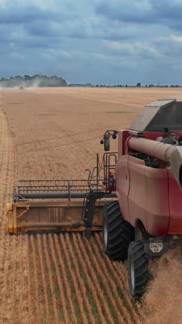 big agricultural combine harvesting on yellow wheat field. big mchine for gathering crops. vertical video