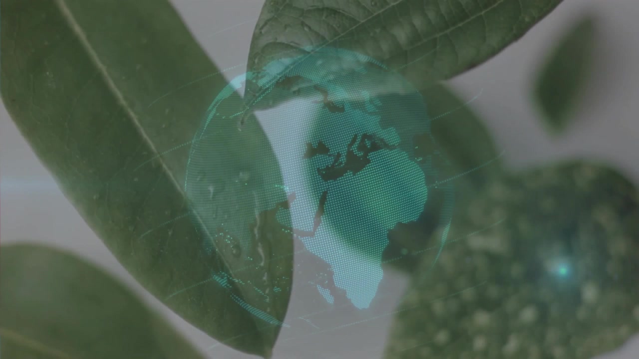 Globo digital aparecendo diante de folhas, causando a formação de gotas enquanto gira, mostrando união ecológica