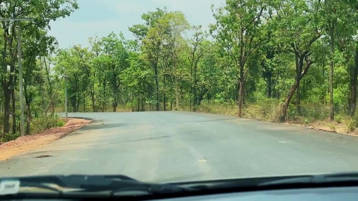 Auto che percorre una strada tortuosa e liscia attraverso una foresta verde lussureggiante, circondata da alberi e boschi naturali
