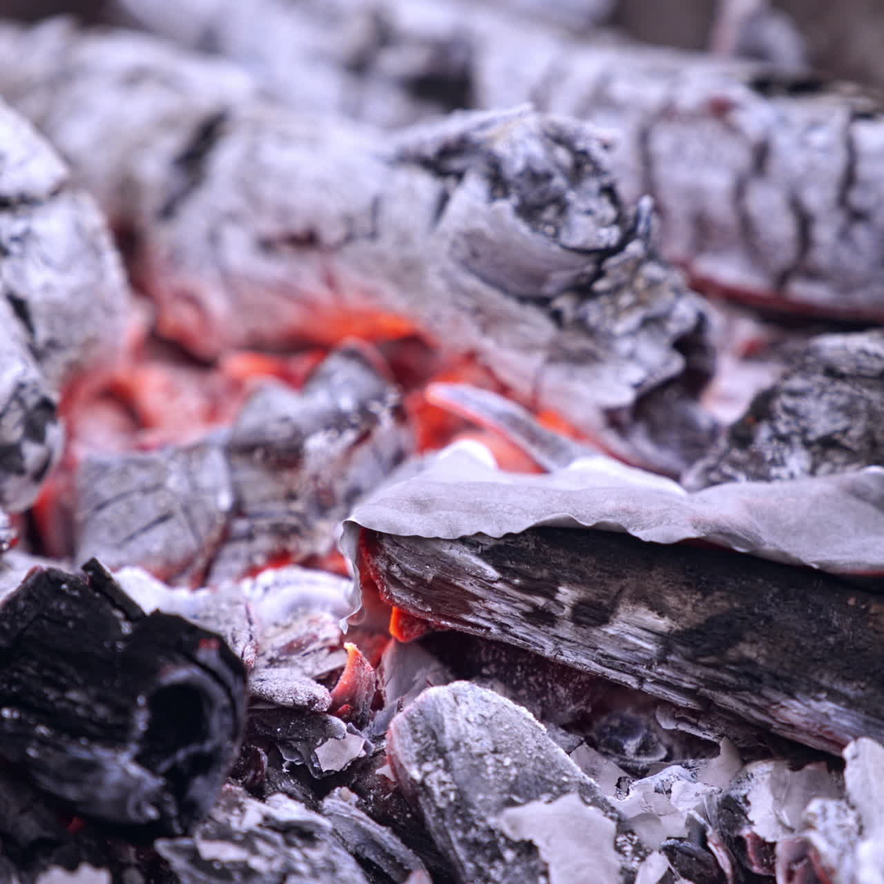 Burning money. 100 dollars bill burns in the fire. American money in flame on the background of burning up firewood. Close-up.