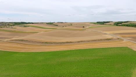 barrido de campos agrícolas cerca de terrenos rurales