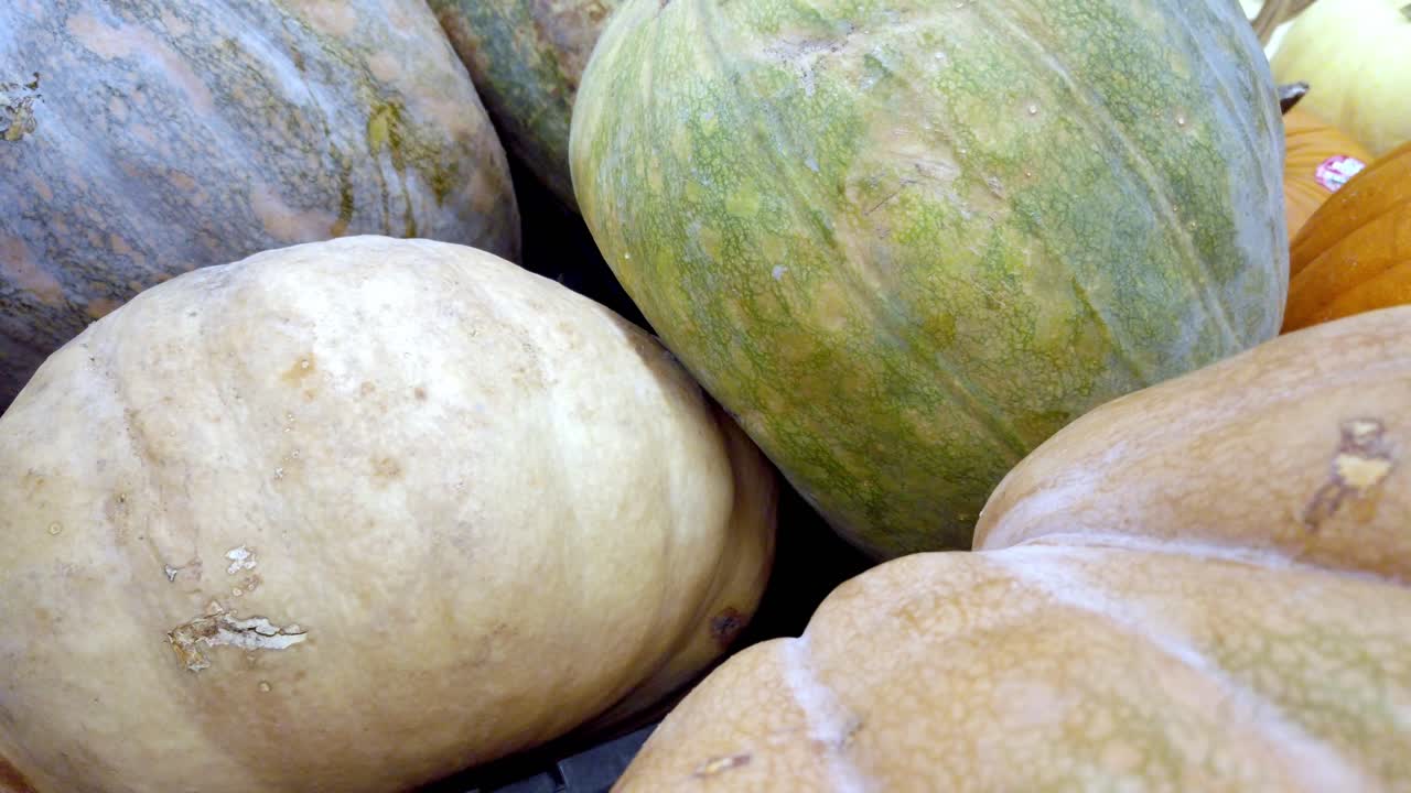 Close-up of various colorful pumpkins and squashes in a market display