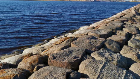 seagull feeding on fish by rocky seawall
