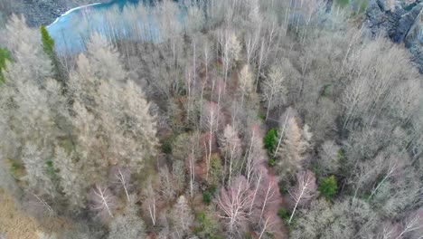 drone footage of trees from above in a mining area