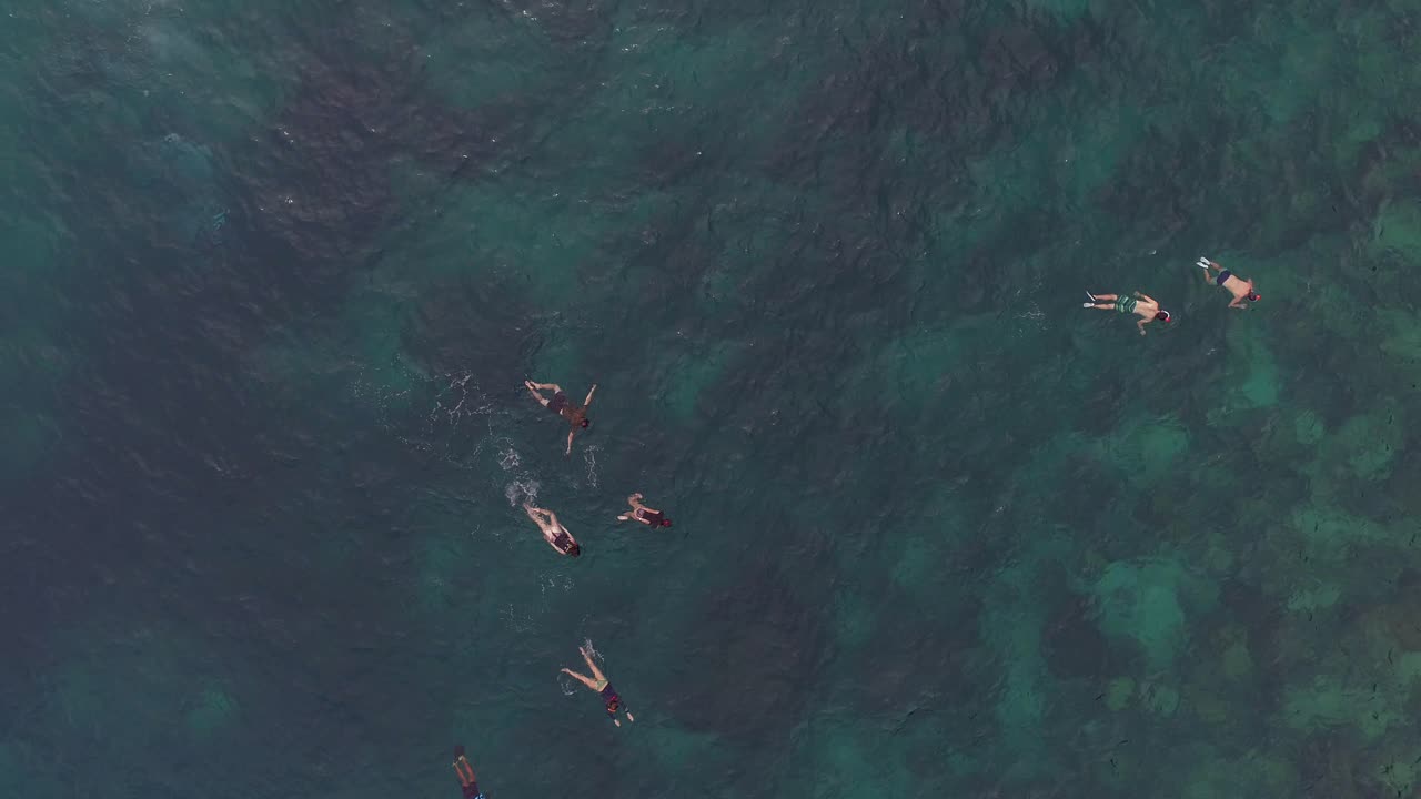 산호 호수 스노클링 - 경이로운 곳 을 탐험 하십시오