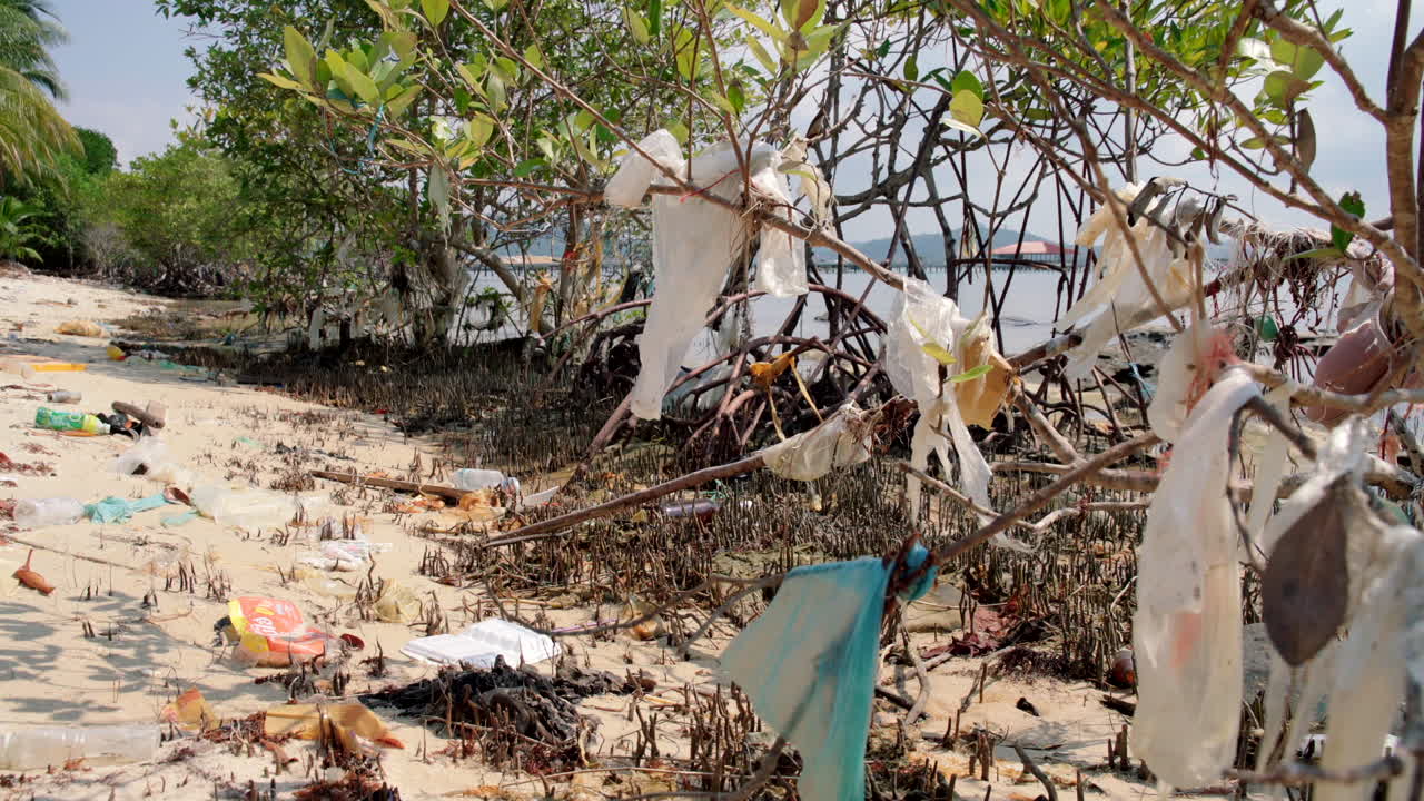캄보디아의 맹그로브 나무에 매달려 있는 플라스틱 오염