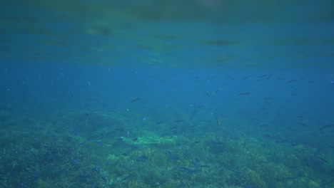 Cámara-En-La-Superficie-Con-Olas-Que-Revelan-El-Arrecife-De-Coral-Debajo-De-La-Superficie