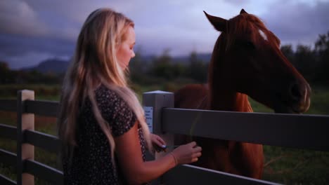 golden hour shot of a beautiful woman hand-feeding a large brown horse over a fence on a ranch in hawaii