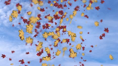 animation of falling leaves loop autumn