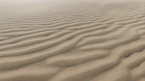 rippling sand dunes in a desert landscape