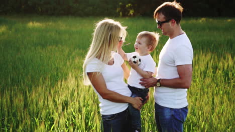 family walking in field carrying young baby son