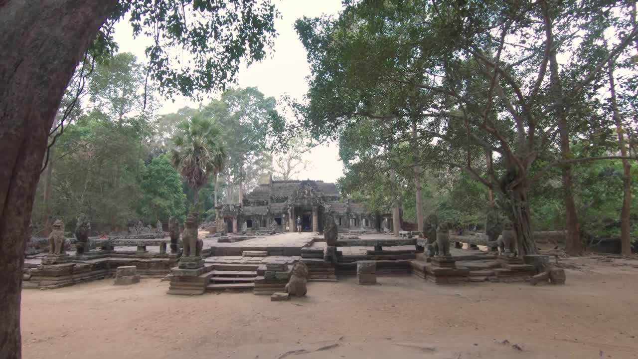 Slow move through two majestic trees towards a ruin part of the temples in Angkor Wat, Cambodia