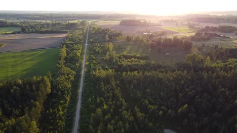 technical forest path road for forestry recreation and logging aerial view