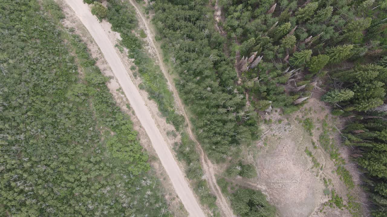 vista aérea de las tierras forestales