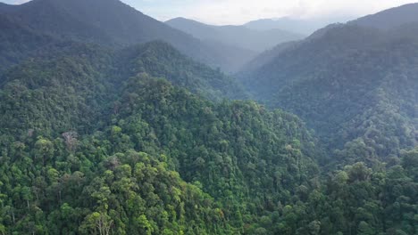 Toma-Aérea-Cinematográfica-Hacia-Atrás-Del-Hermoso-Paisaje-Selvático-En-El-Parque-Nacional-Gunung-Leuser,-El-Patrimonio-De-La-Selva-Tropical-De-Sumatra,-Indonesia---Dron-Inclinándose-Lentamente-Hacia-Abajo