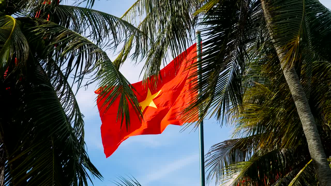 베트남 발을 흔들고