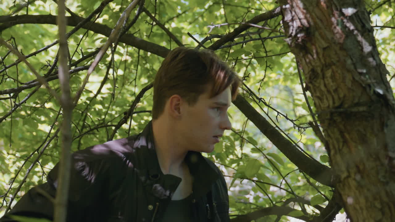 Adventurer under leafy canopy slips off jacket with cautious gaze surveying surroundings while dappled sunlight filters through branches illuminating forest backdrop with tense mood of exploration