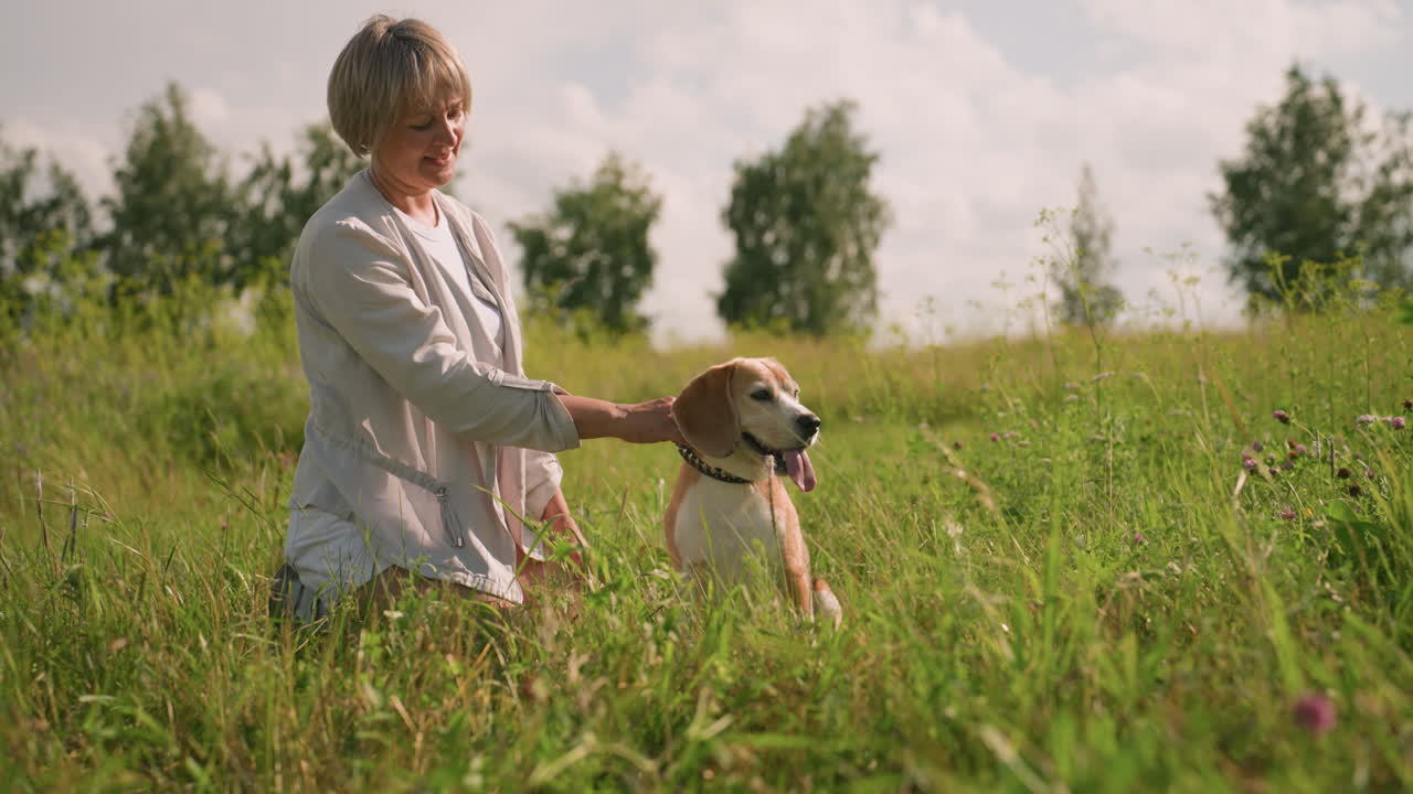 개 주인이 잔디에 무을 고 개의 줄을 들고 있는 동안 개는 무언가를 집중적으로 바라보고, 울창한 초록색과 배경 나무로 둘러싸인 유쾌하지만 집중된 분위기를 만니다.
