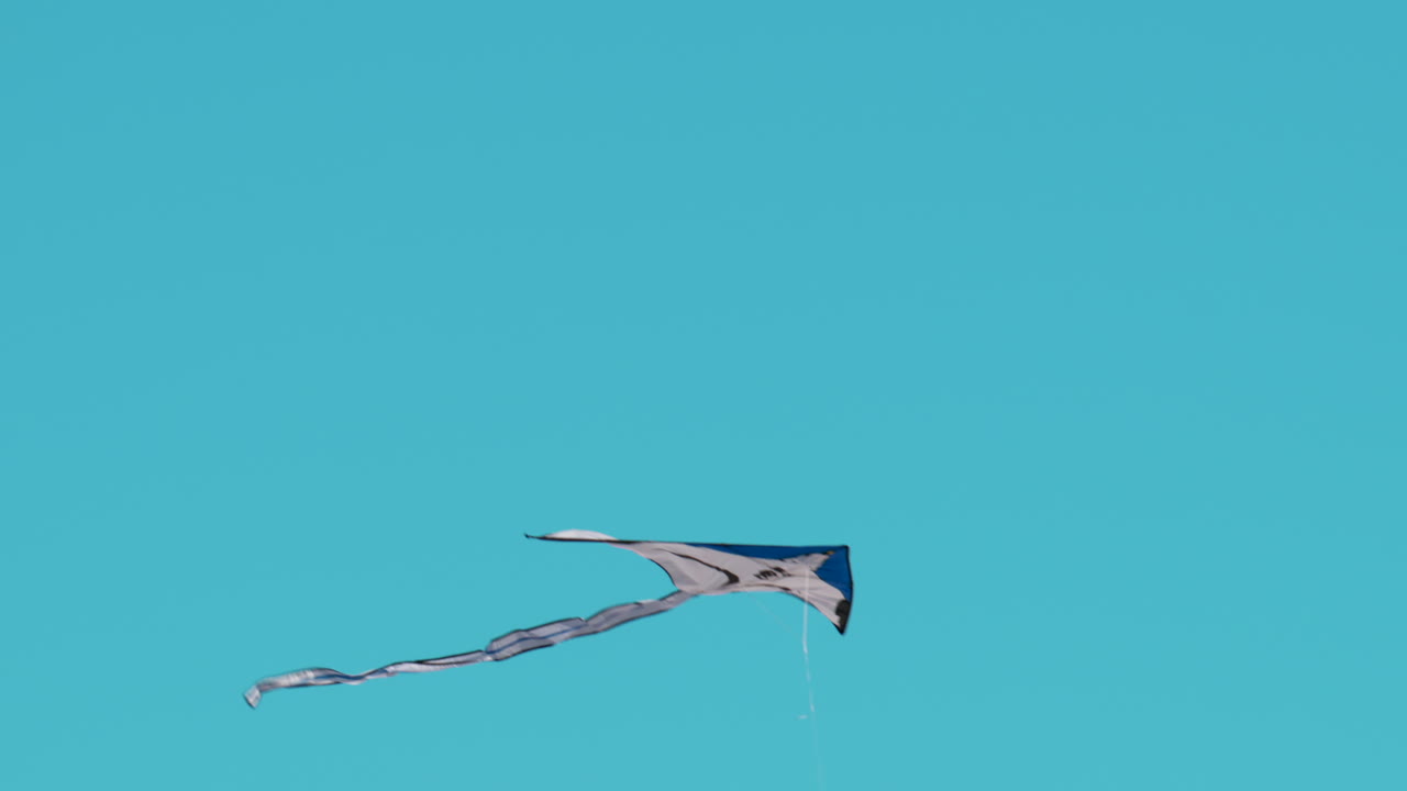 A colorful kite soars above palm trees under a bright blue sky on a windy afternoon in Cannes, France