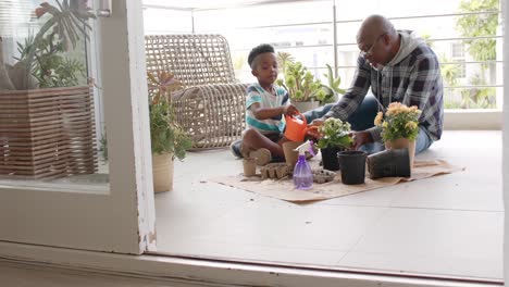 african american grandfather and grandson planting flowers on balcony, slow motion