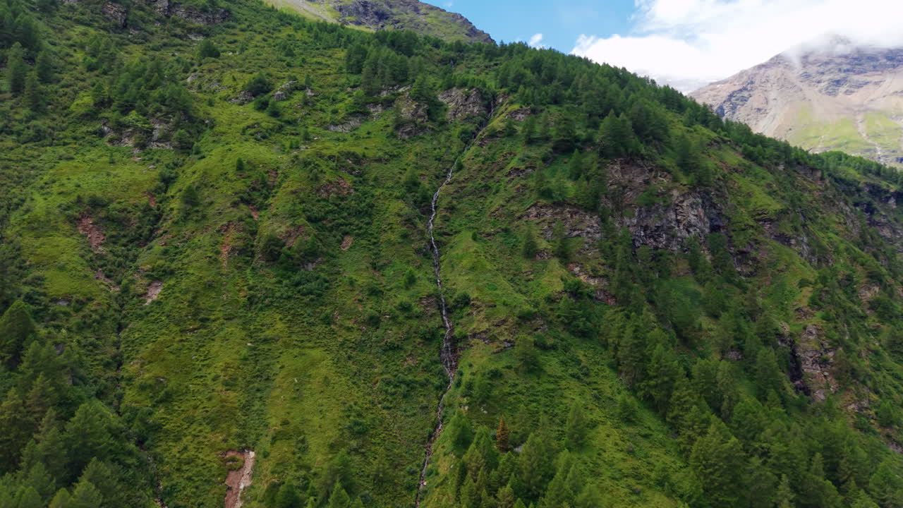 Green Peaks and Valleys in Switzerland: Lush Forested Mountain Side