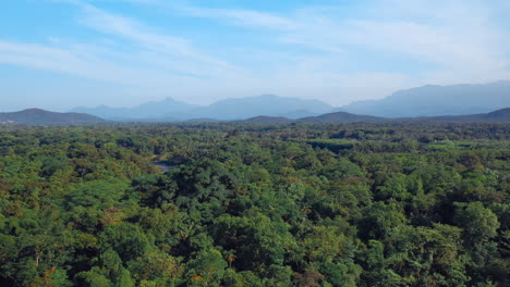 Beautiful-tropical-amazon-green-forest-with-a-river-and-mountains-in-background