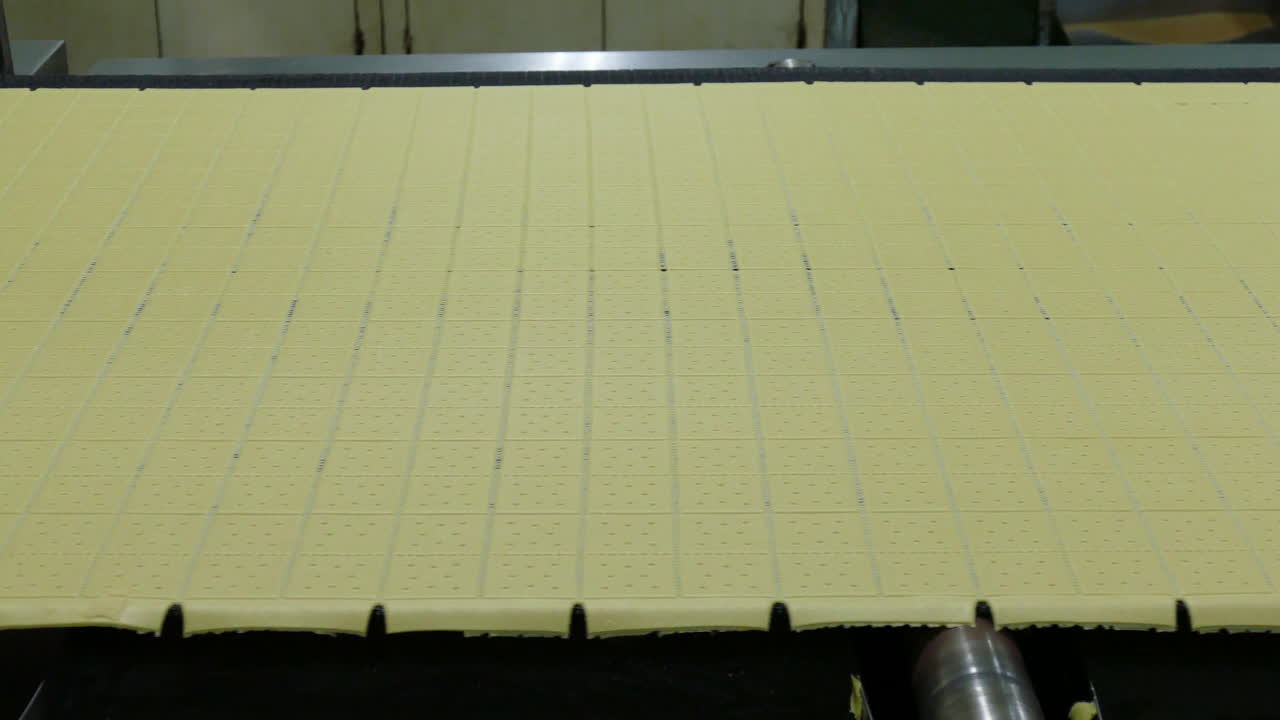 galleta en línea de producción en industrial