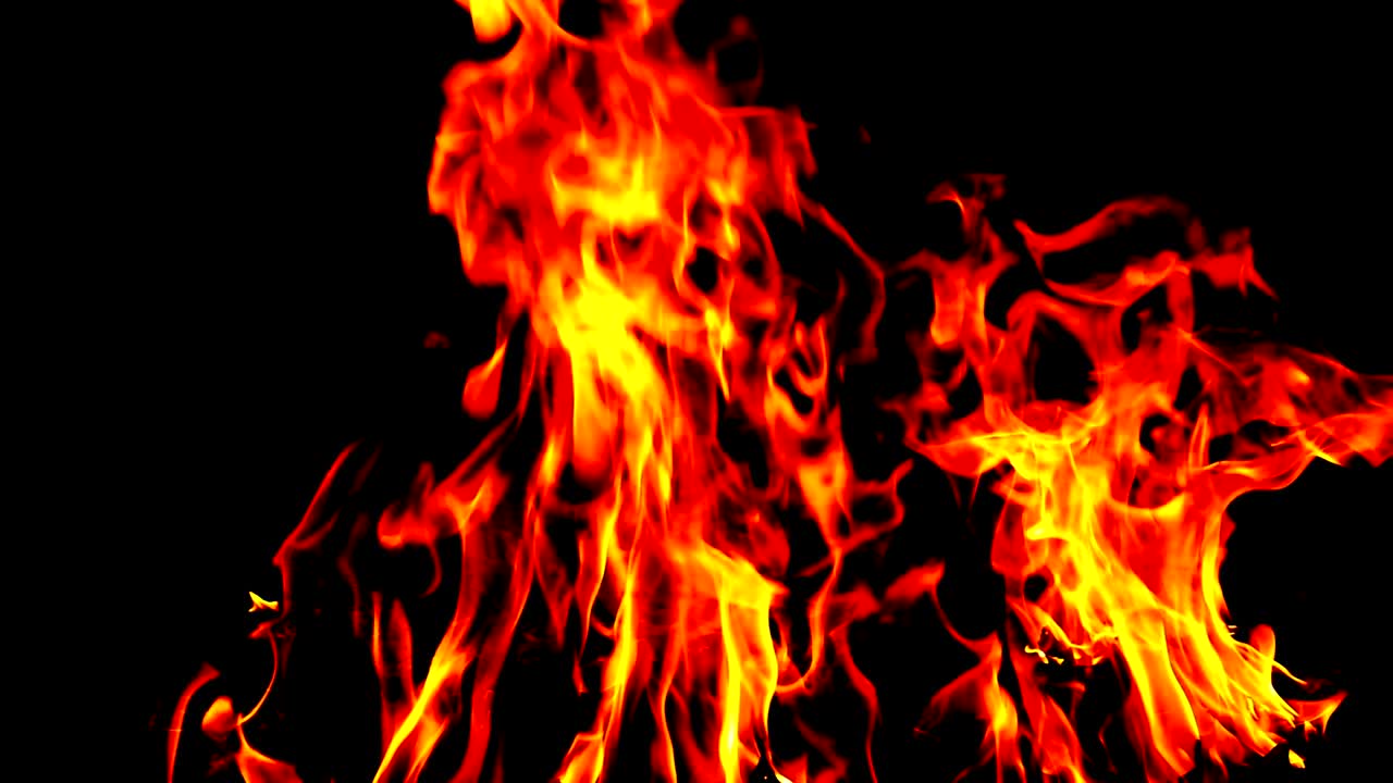 Flammer brænder tørre blade. Ild og røg i slowmotion gløder, svæver og lyser klart på jorden.