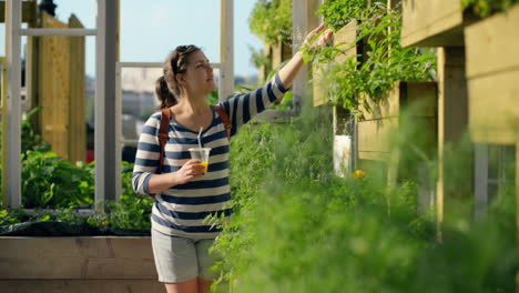 woman in city farm shopping for plants