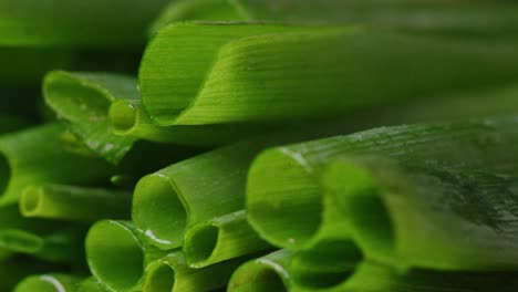 chopping green onion macro shot