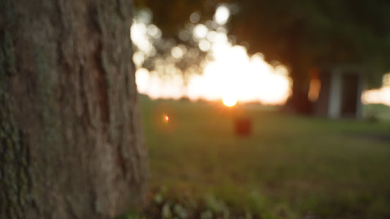 крупный план удочки, прислоненной к дереву, когда рука приближается и вытаскивает ее из кадра в золотой час