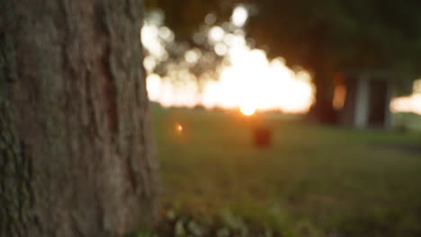 primer plano de una caña de pescar apoyada contra un árbol, cuando entra una mano y la saca del marco a la hora dorada