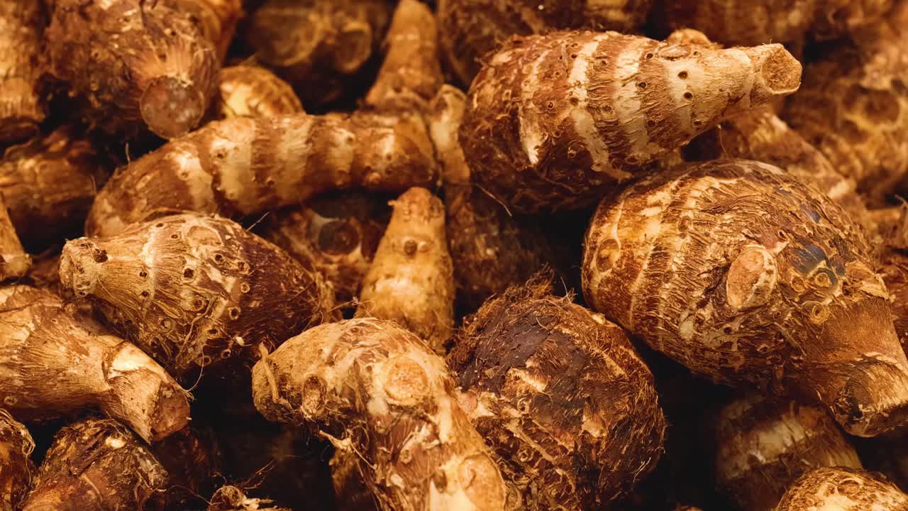 시장 에서 타로 를 손 으로 뽑는 것