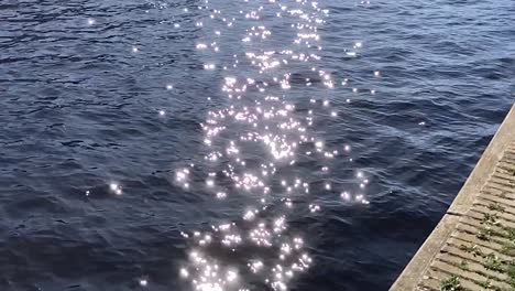 the sunlight glistening on the calm waves at the ocean shore