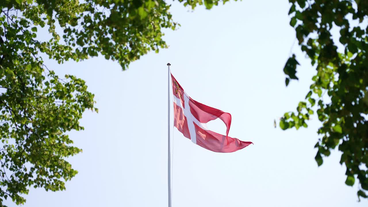 Dansk flag vajer på en stang med grønne træblade og blå himmel i baggrunden.