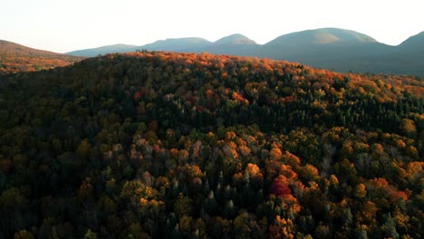 Hermosos-Colores-De-Otoño-En-Exhibición-En-Las-Copas-De-Los-árboles-Del-Bosque-Montañoso,-Catskills