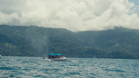 whale watching tour on the sea
