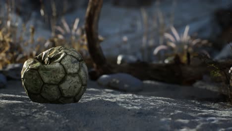 Una-Vieja-Pelota-De-Fútbol-Rota-Tirada-Yace-En-La-Arena-De-La-Playa-Del-Mar