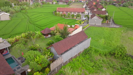 aerial view of town houses and rice fields in bali island, indonesia