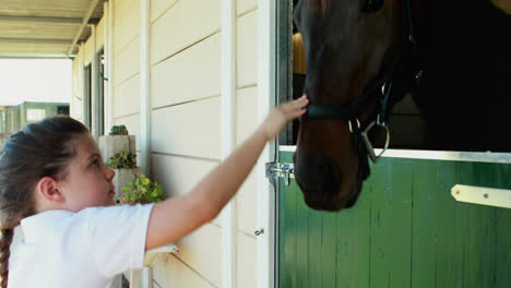 girl stroking horse in stable 4k